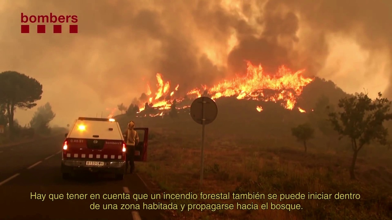 ¿Quién paga la prevención de incendios? Cataluña entre la ley, el descontrol y la factura de los montes