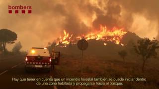 ¿Quién paga la prevención de incendios? Cataluña entre la ley, el descontrol y la factura de los montes