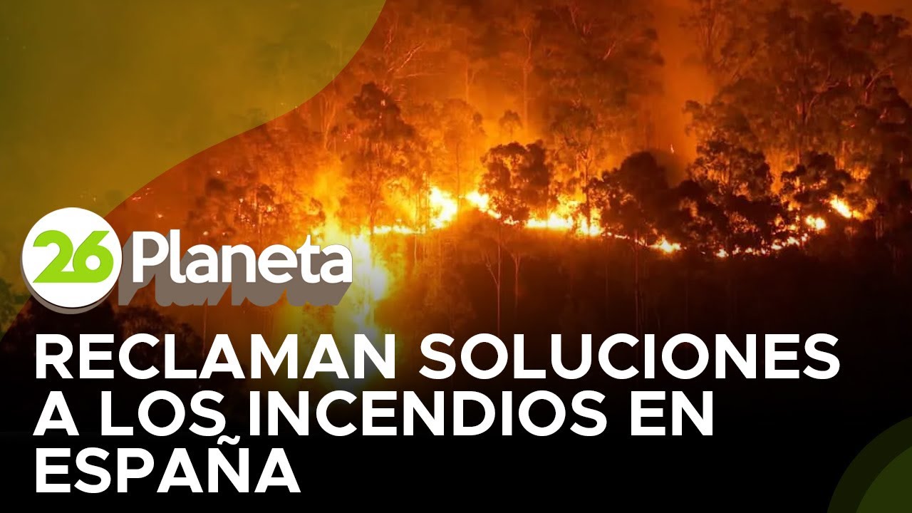Incendios en España: por qué arden nuestras fronteras forestales y qué hay que hacer YA (datos y plan de choque)